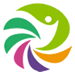 Grupo Co., Ltd del colchón de espuma